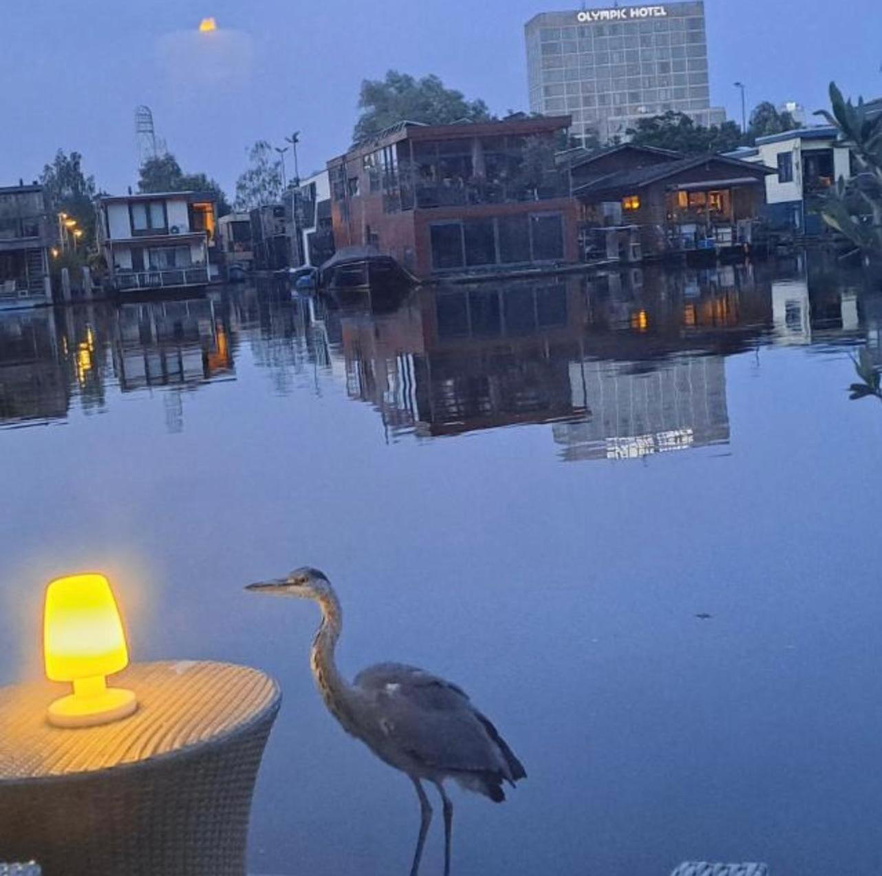 The New Lake Boathouse Amsterdam Esterno foto